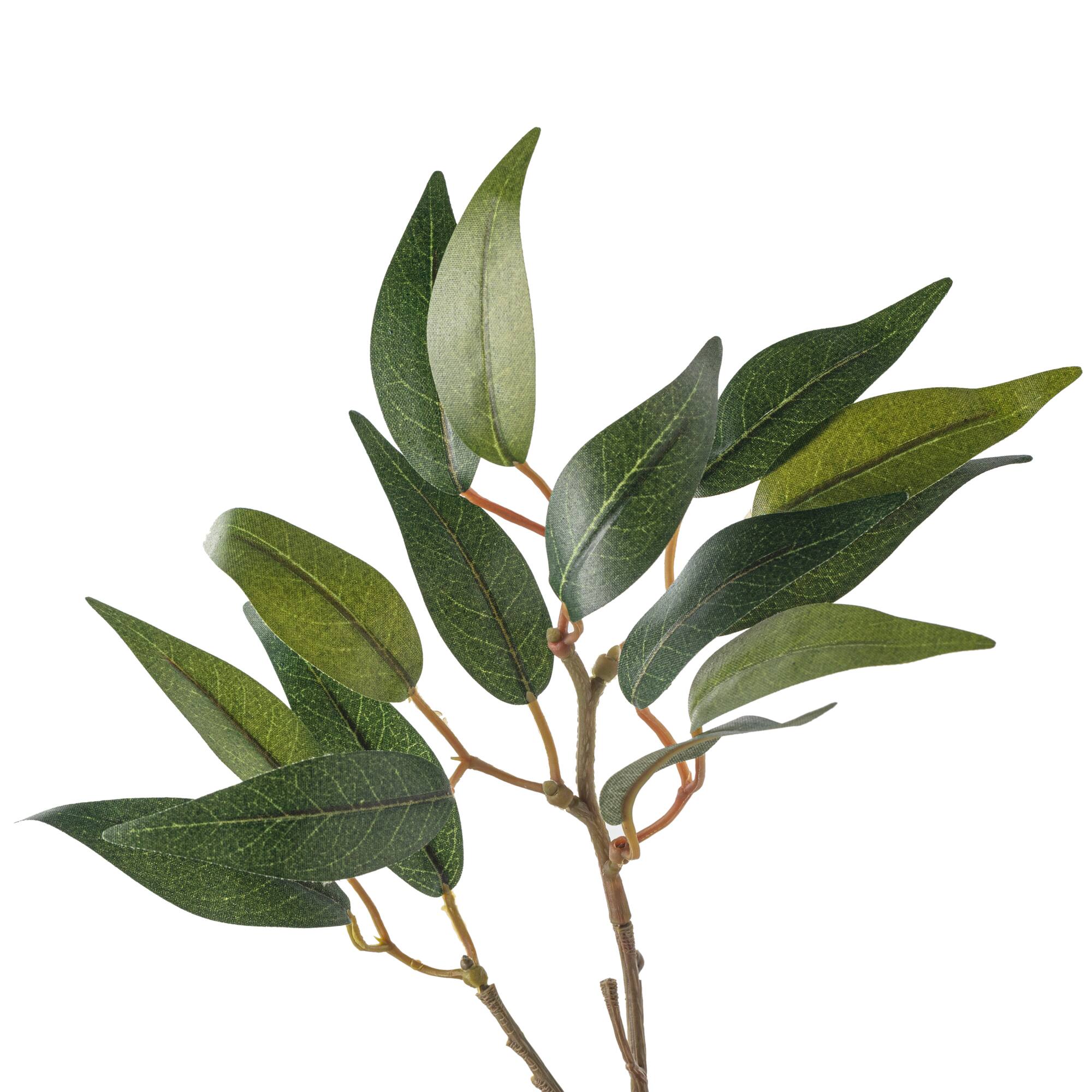 12 Pack: Green Osmanthus Stem by Ashland®